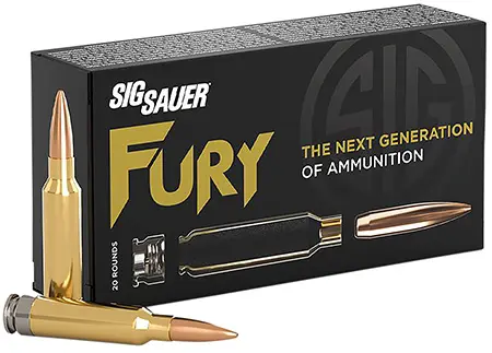 Ammunition