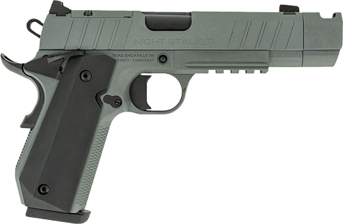 TISAS 1911 B910BA NSSF-C 10MM - 4.25" BBL 8RD W/CASE GREY